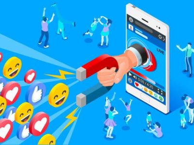 Факт SEO